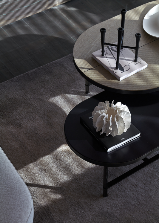 Modern living room setup featuring black and white home decor ideas with minimalist coffee tables and decorative accents
