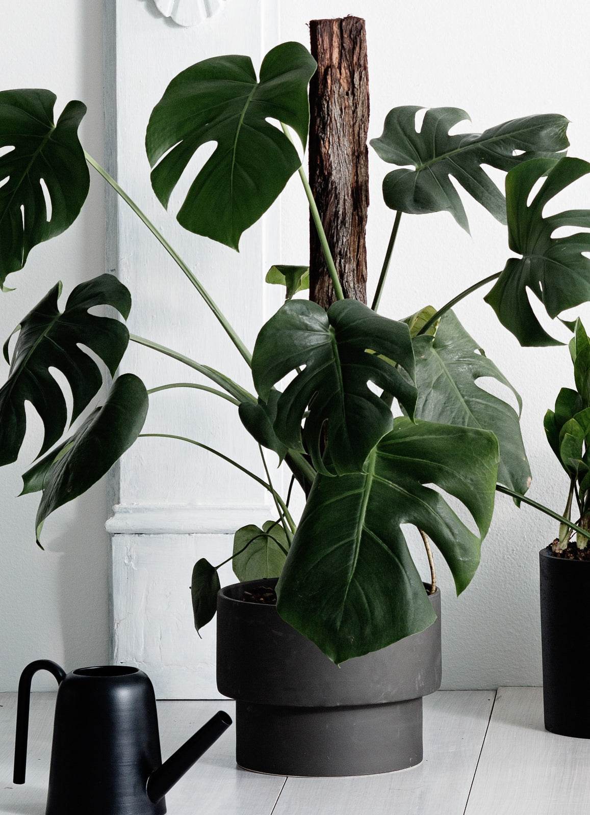 Podium | Handmade Ceramic Pot Black (Large) - Mirra Interiors