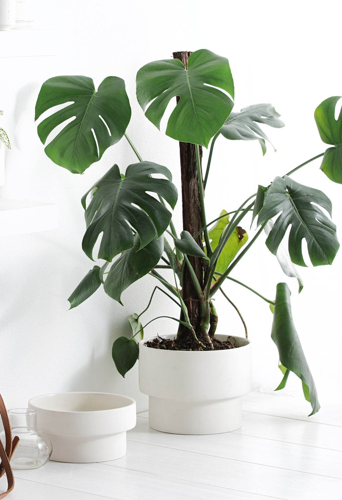 Podium | Handmade Ceramic Pot White (Large) - Mirra Interiors