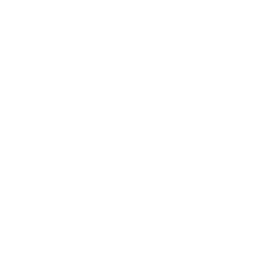 feature-item-3