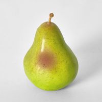 Artificial Pear