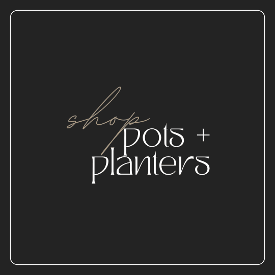Pots & Planters