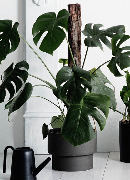 Podium | Handmade Ceramic Pot Black (Large) - Mirra Interiors