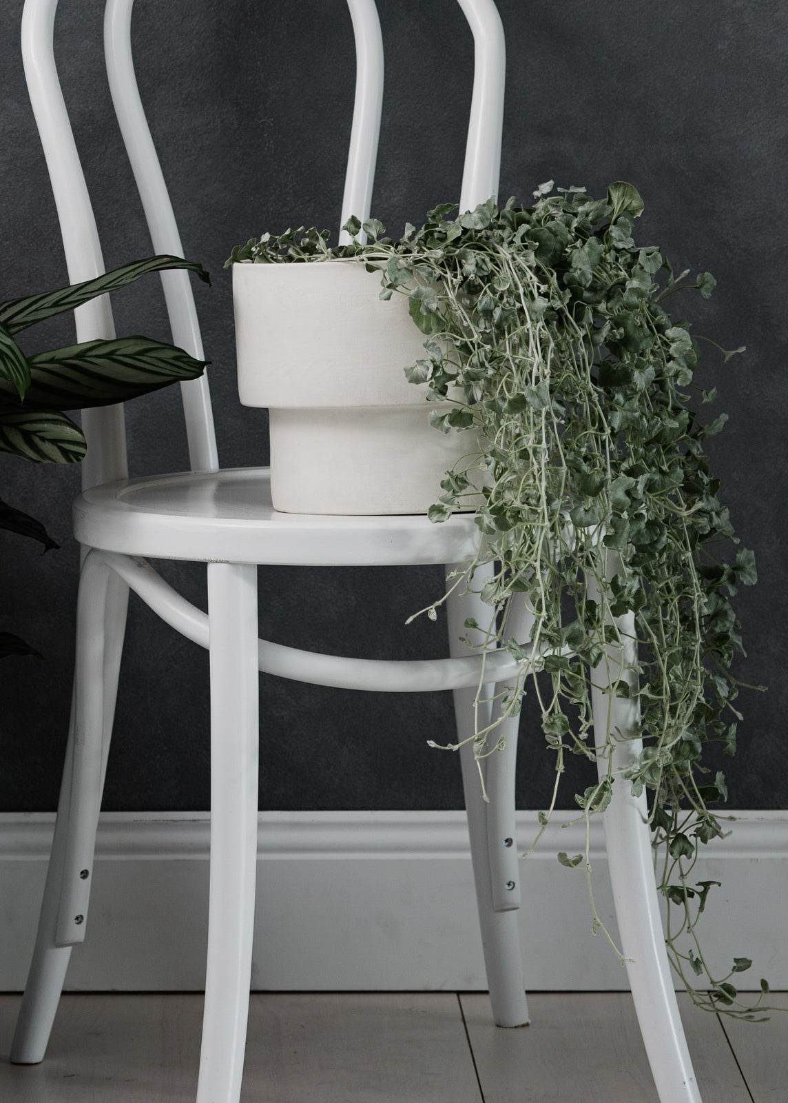Podium | Handmade Ceramic Pot White (Large) - Mirra Interiors