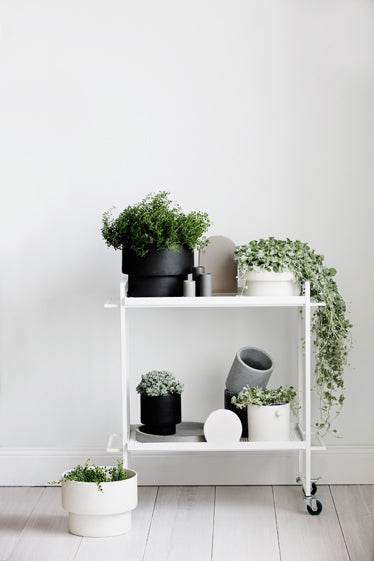 Podium | Handmade Ceramic Pot Black (Low) - Mirra Interiors