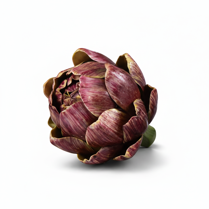 Red artichoke on a white background