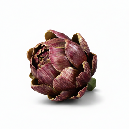 Red artichoke on a white background