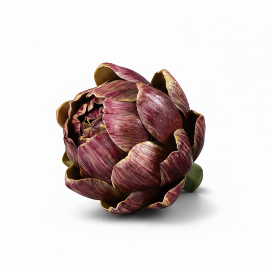 Red artichoke on a white background