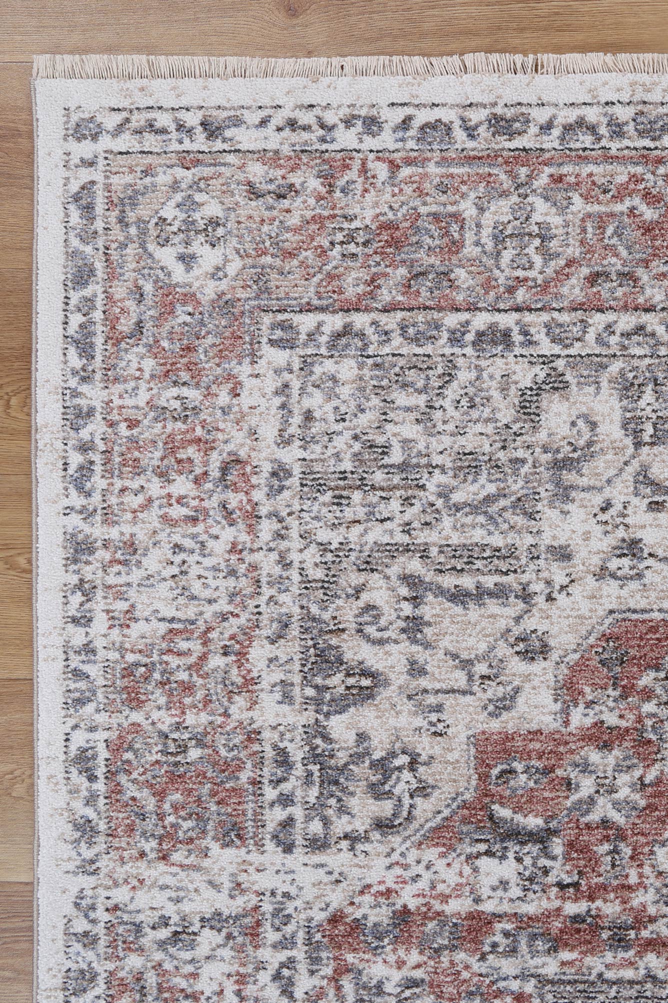 Maryland | Otrar Traditional Rug - Multi