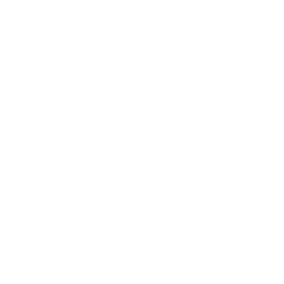 feature-item-2