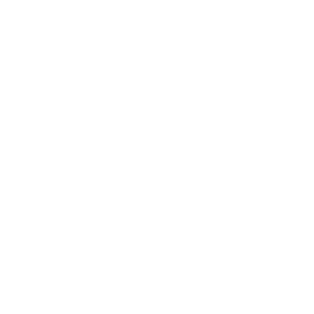 feature-item-1