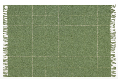 Green checkered blanket with white lines and fringes on a plain background